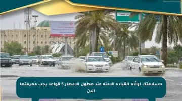 «سلامتك أولًا» القيادة الآمنة عند هطول الأمطار 5 قواعد يجب معرفتها الآن